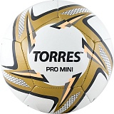Мяч футбольный сувенирный TORRES Pro Mini, арт.F31910